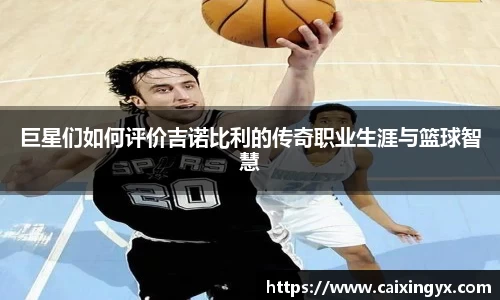 巨星们如何评价吉诺比利的传奇职业生涯与篮球智慧